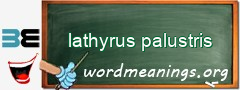 WordMeaning blackboard for lathyrus palustris